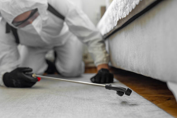 Professional Termite Control technician working in Grayson, KY